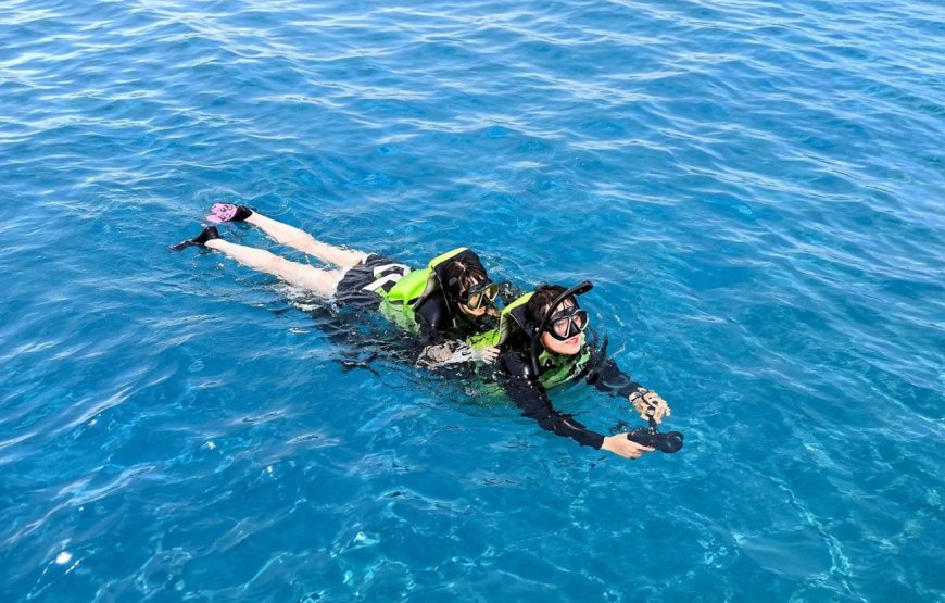 Turtle Snorkeling