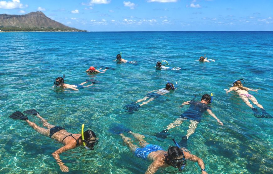 Turtle Snorkeling