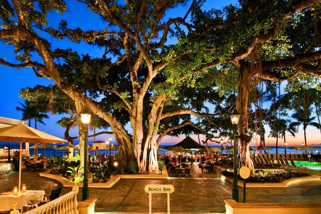 The banyan tree courtyard at the Moana Surfrider at dusk, with lamplit tables under the branches and the ocean beyond