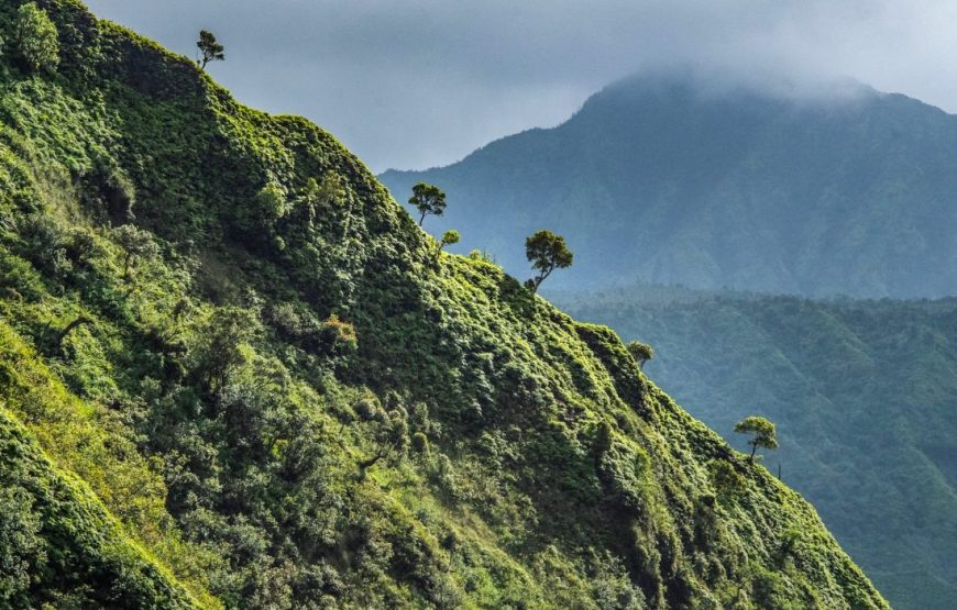 Kauai Helicopter Tours