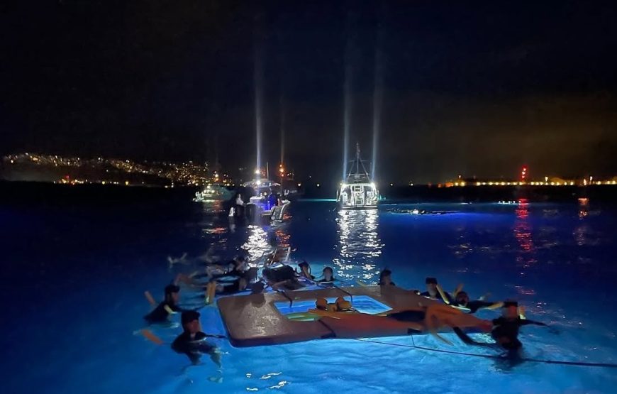 Iruka Kona Manta Ray Night Snorkel