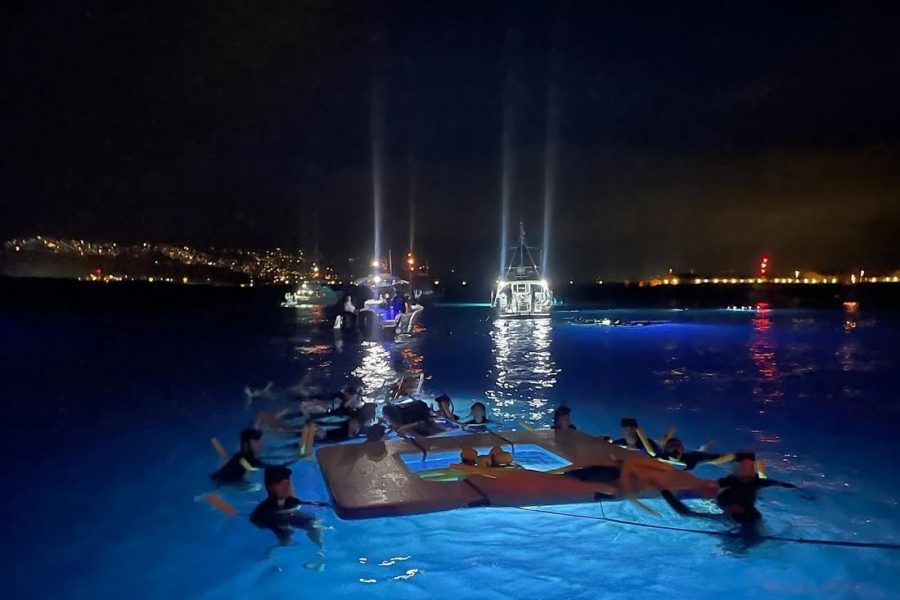 Iruka Kona Manta Ray Night Snorkel