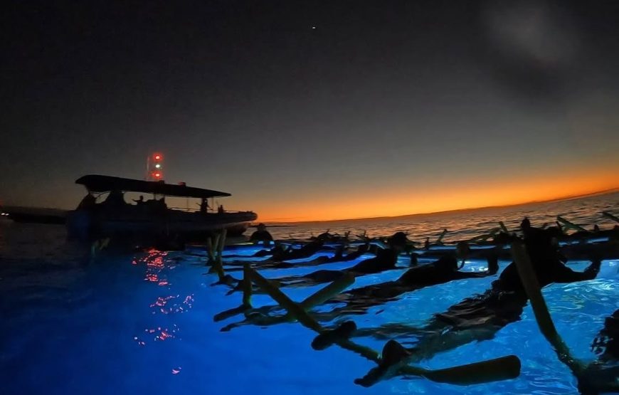 Iruka Kona Manta Ray Night Snorkel