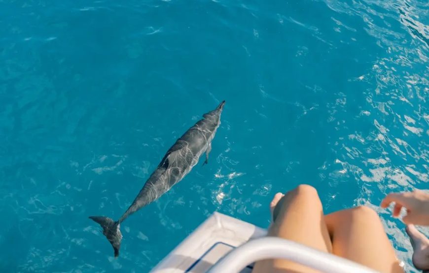Na Pali Coast Boat Tour