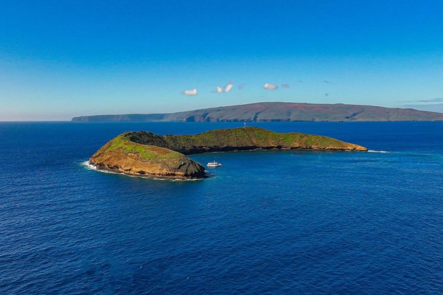 Maui Molokini Snorkeling and Ocean Tours